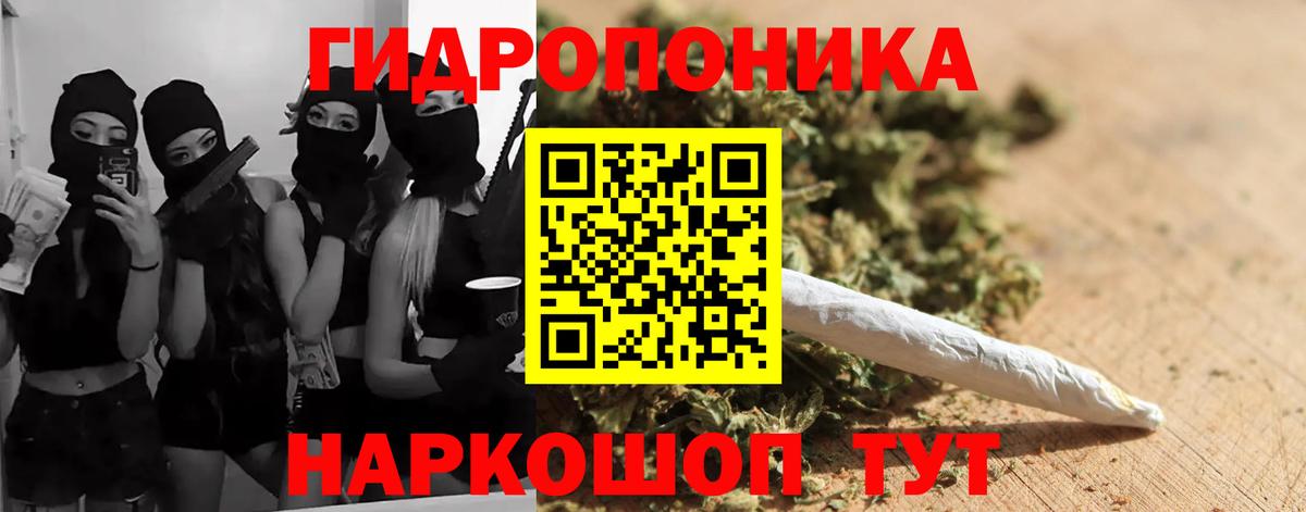 МАРИХУАНА конопля Владивосток